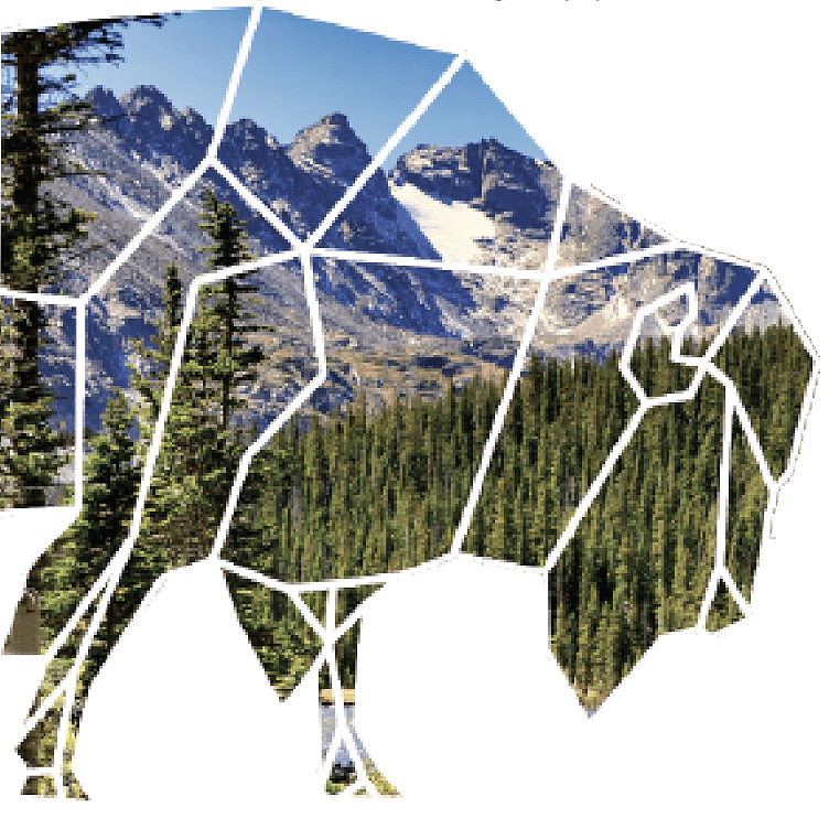 Genesee Nutrition Bison
